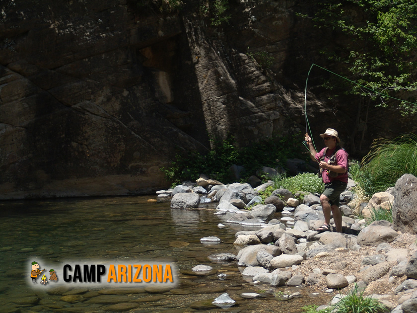 Fly fishing on Oak Creek